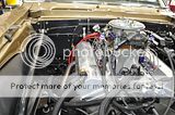 photo _DSC0336_zpstm8w6es7.jpg